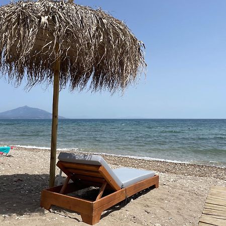 Hotel Ireon Beach Samos Town Exterior photo